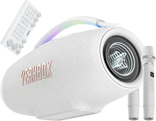 500W Party Speaker with 2 Mics