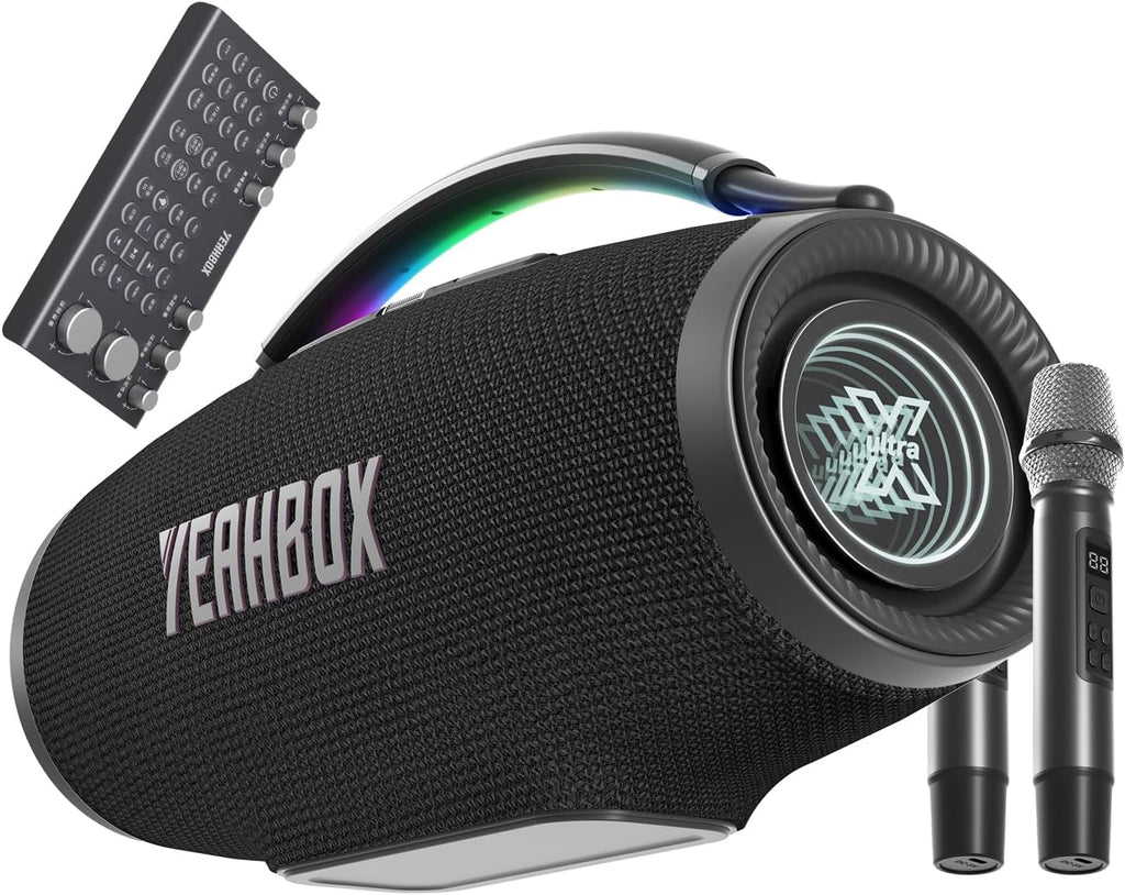 500W Party Speaker with 2 Mics