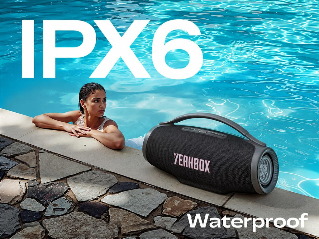 500W Party Speaker with 2 Mics